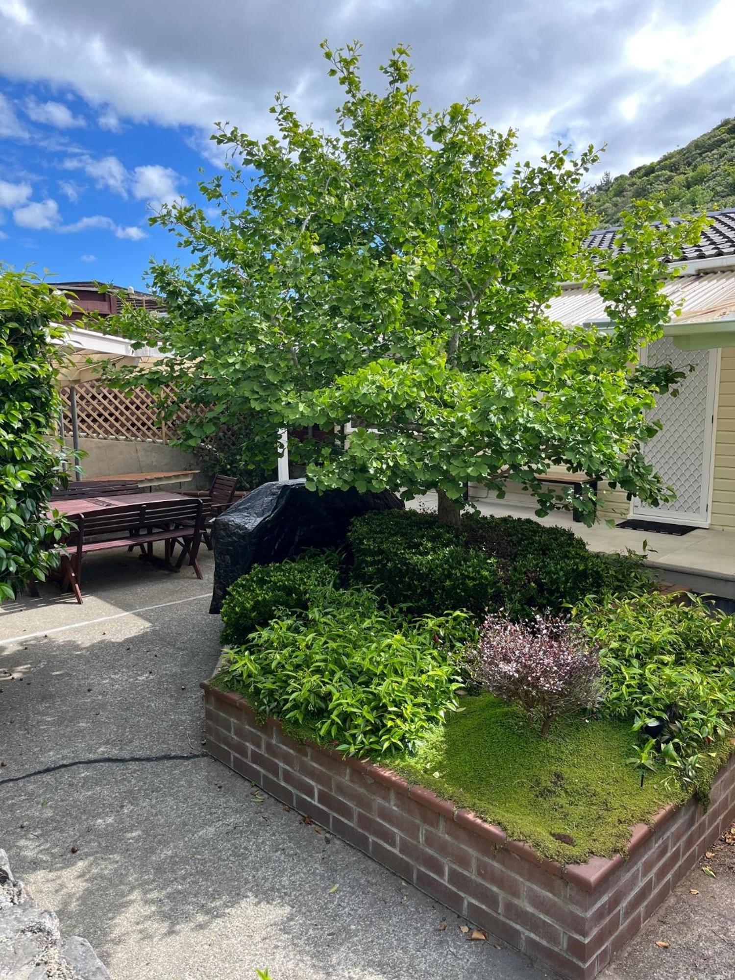 Retro 4 Bedroom Home, Warm And Welcoming, Quiet Location Porirua Dış mekan fotoğraf